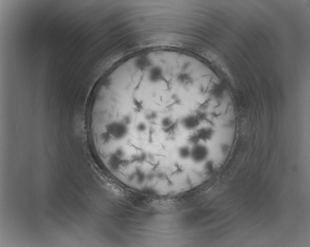 X0000073970882200609051842