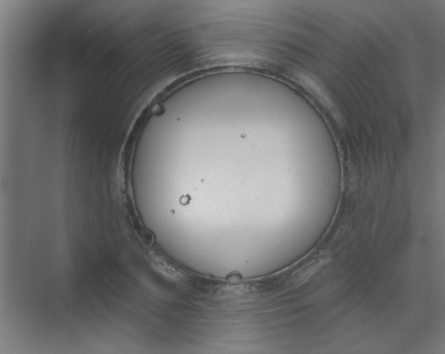 X0000073970883200609051842