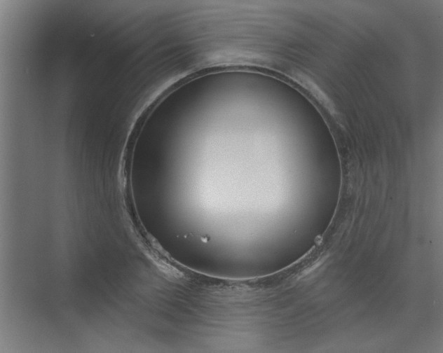 X0000073970885200609051842