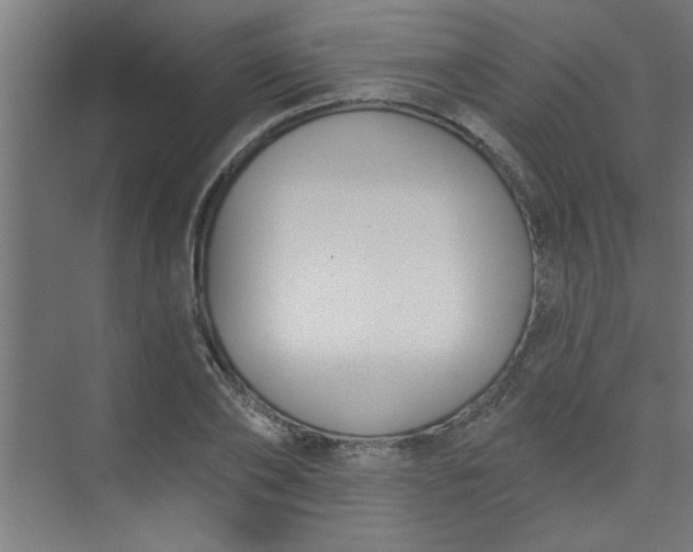 X0000073970886200609051842