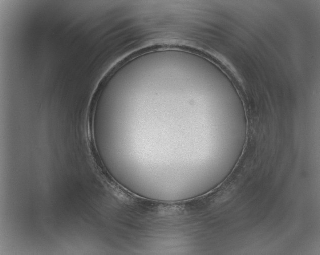 X0000073970887200609051842