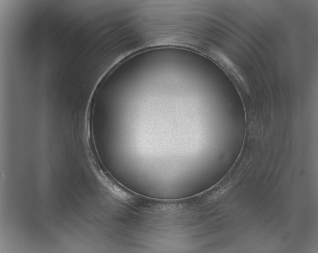 X0000073970892200609051842