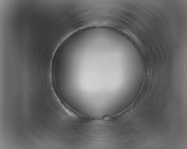 X0000073970894200609051842