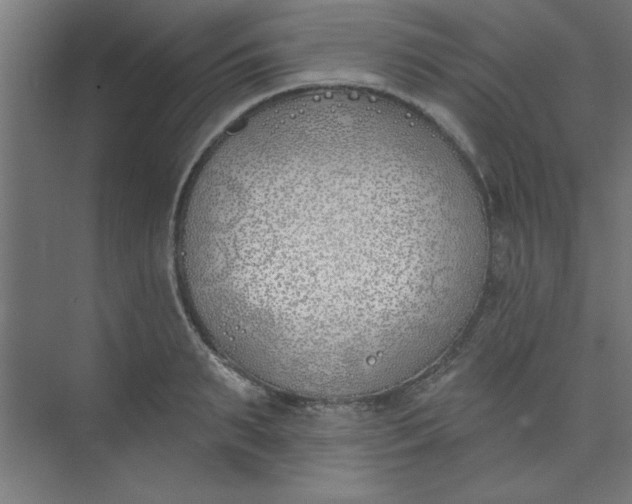 X0000073970895200609051842