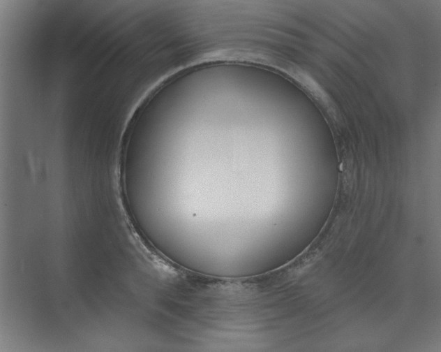 X0000073970896200609051842