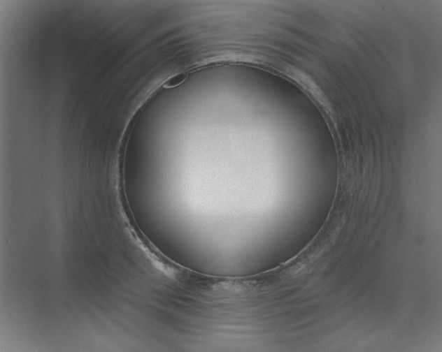 X0000073970898200609051842