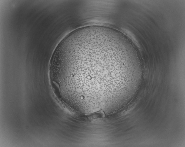 X0000073970899200609051842