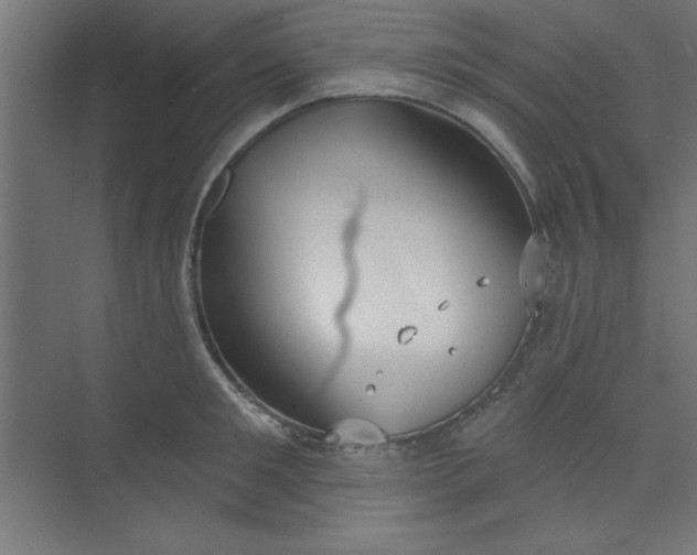 X0000073970901200609051842