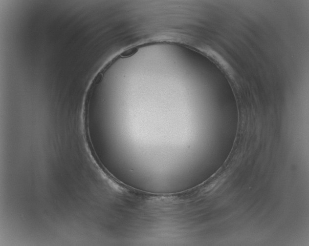 X0000073970902200609051842