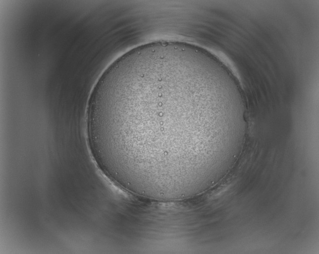 X0000073970903200609051842