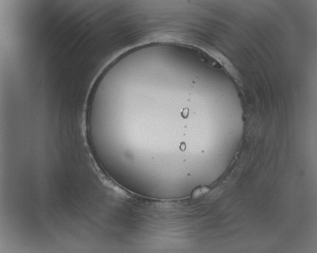 X0000073970904200609051842