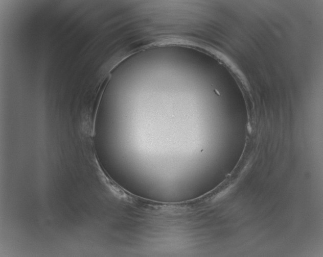 X0000073970905200609051842