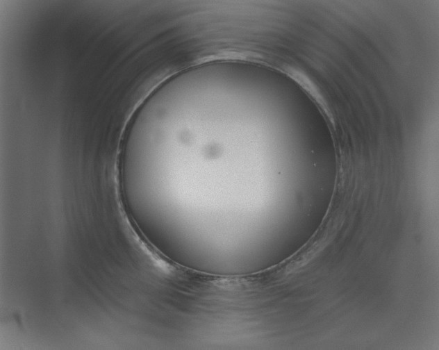 X0000073970906200609051842