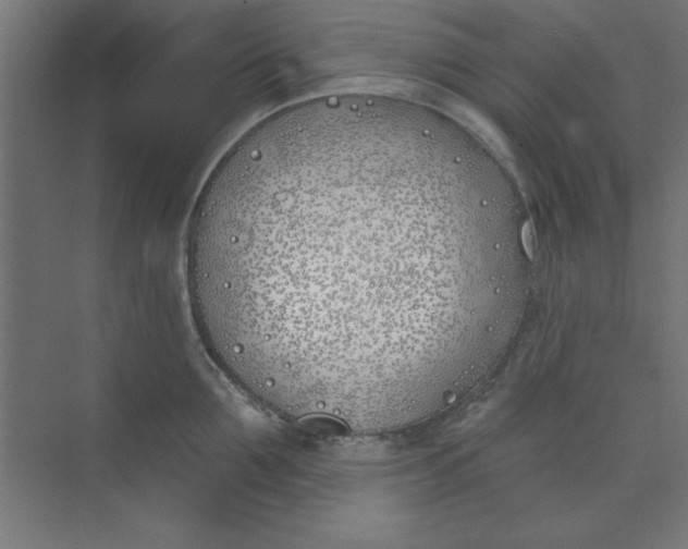 X0000073970907200609051842