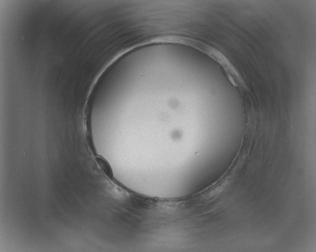 X0000073970908200609051842