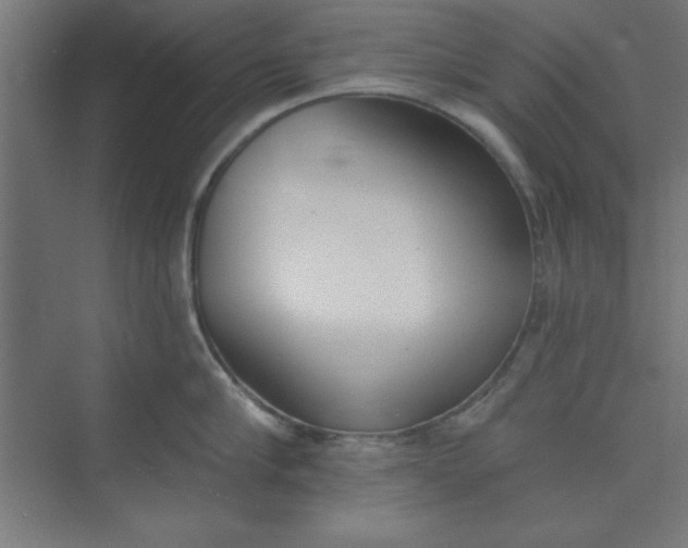 X0000073970910200609051842