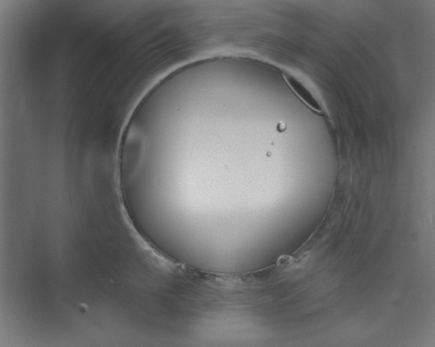 X0000073970911200609051842