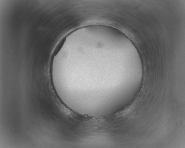 X0000073970912200609051842