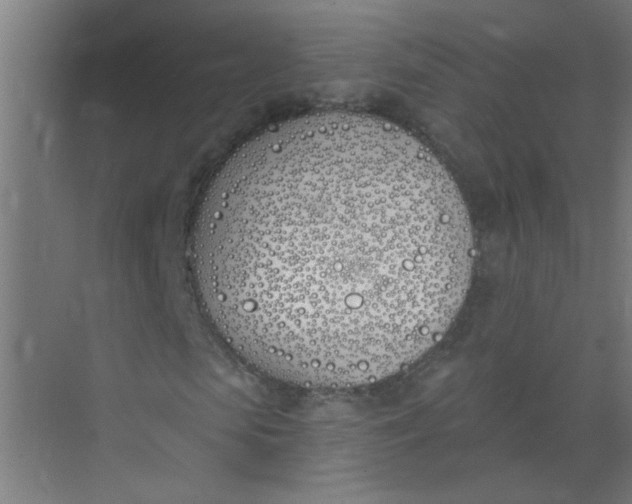 X0000073970913200609051841