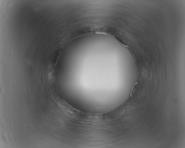 X0000073970914200609051841