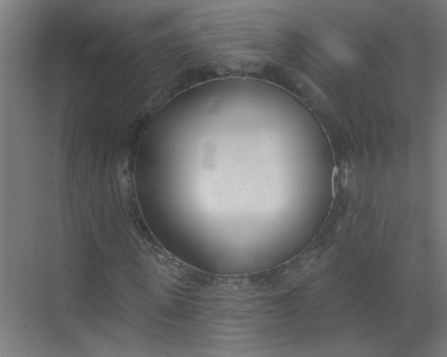 X0000073970915200609051841