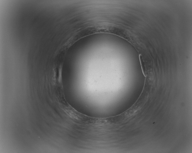 X0000073970916200609051841