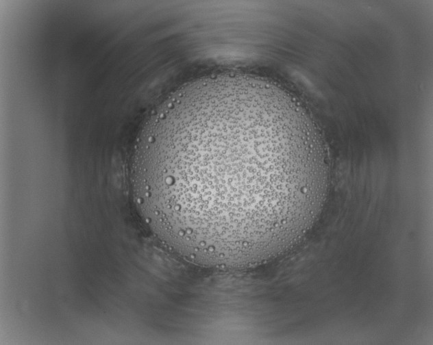 X0000073970917200609051841