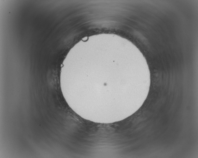 X0000073970918200609051841