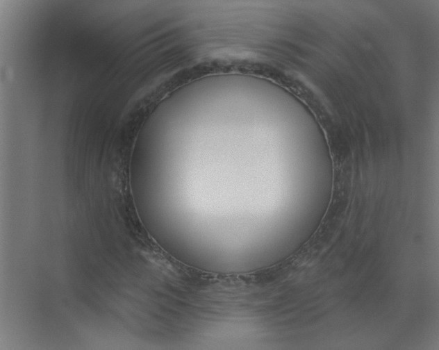 X0000073970919200609051841