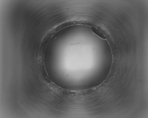 X0000073970920200609051841