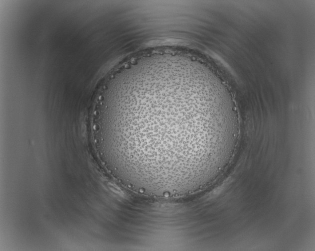 X0000073970921200609051841