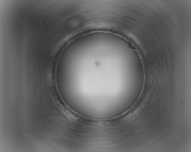 X0000073970922200609051841