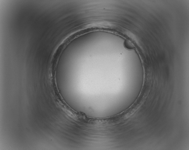 X0000073970923200609051841