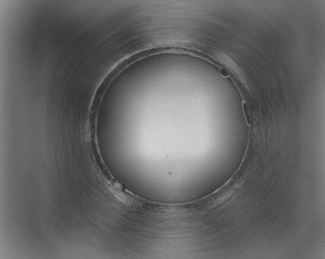 X0000073970924200609051841