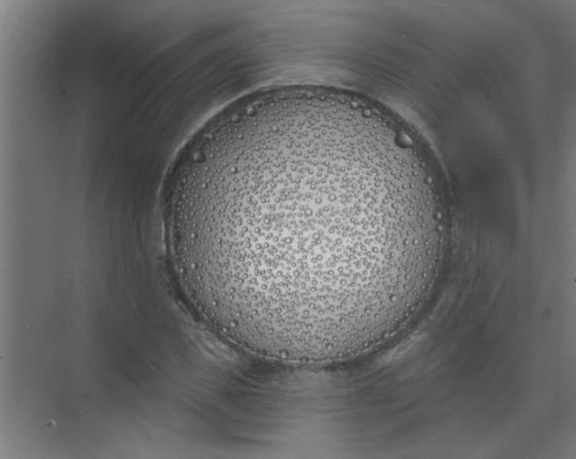 X0000073970925200609051841