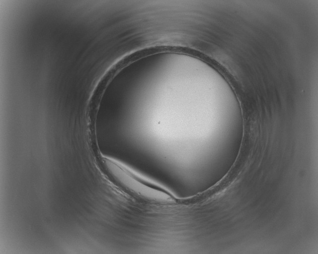 X0000073970926200609051841