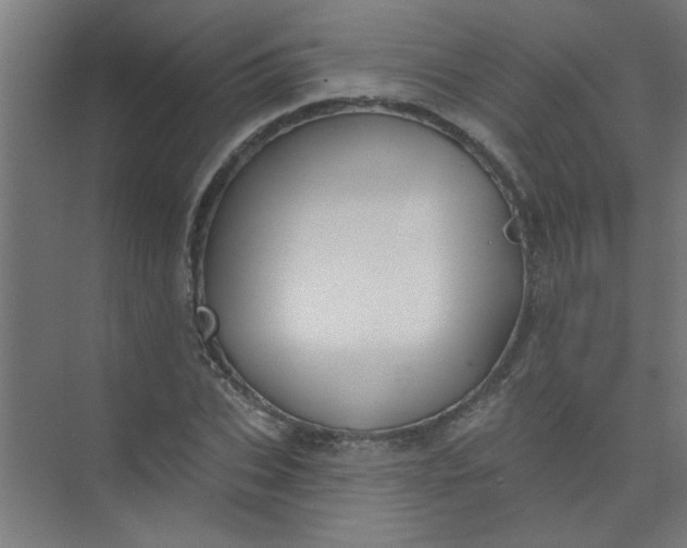 X0000073970927200609051841