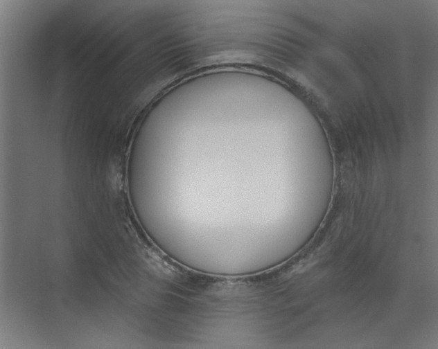 X0000073970929200609051841