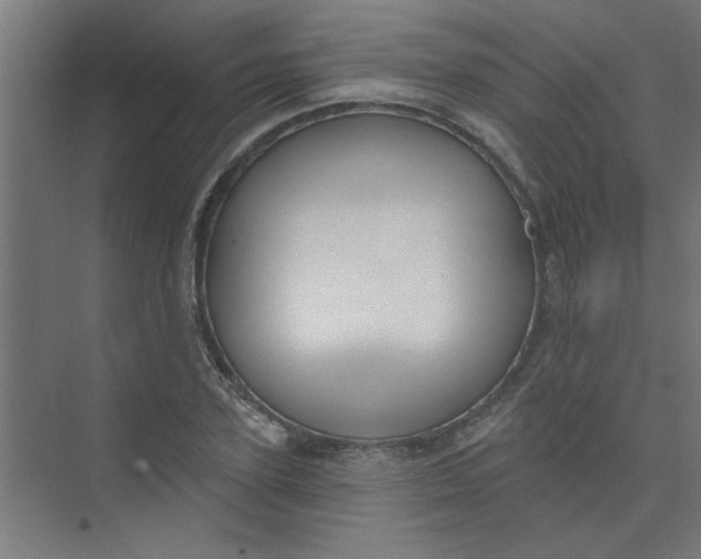 X0000073970931200609051841