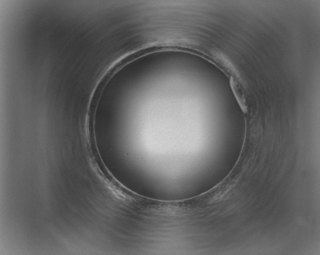 X0000073970932200609051841