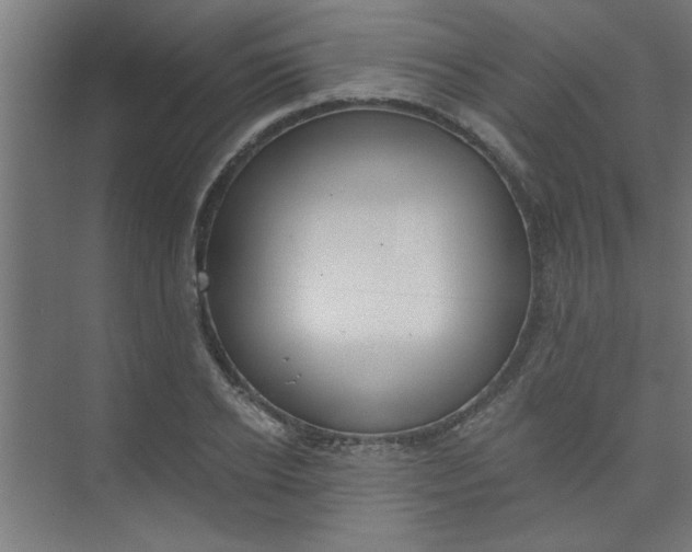 X0000073970934200609051841