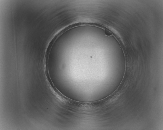 X0000073970935200609051841