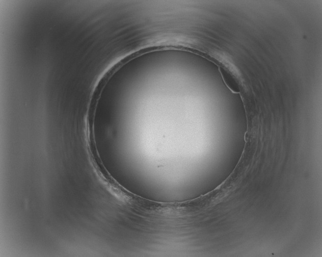 X0000073970936200609051841