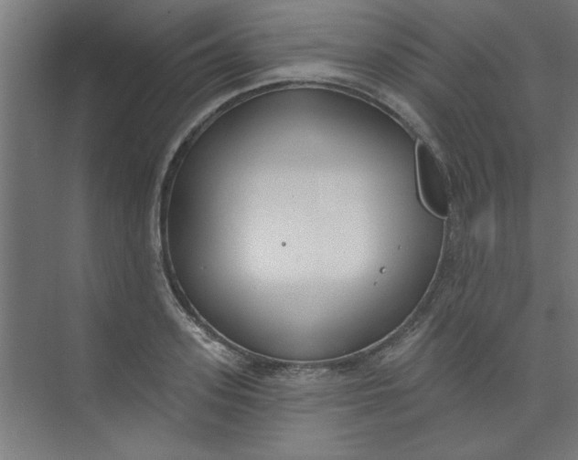 X0000073970939200609051841