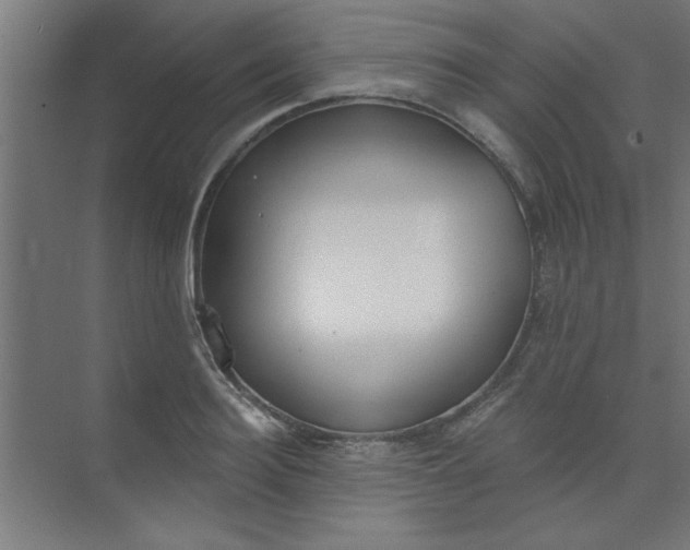 X0000073970940200609051841