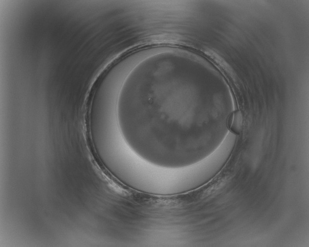 X0000073970941200609051841