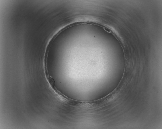 X0000073970943200609051841