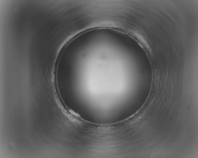 X0000073970944200609051841