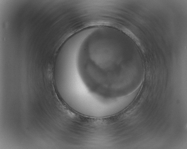 X0000073970945200609051841