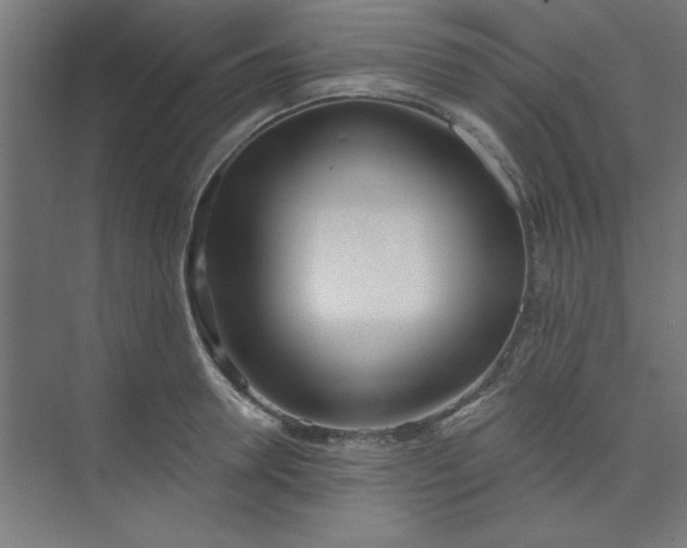 X0000073970946200609051842